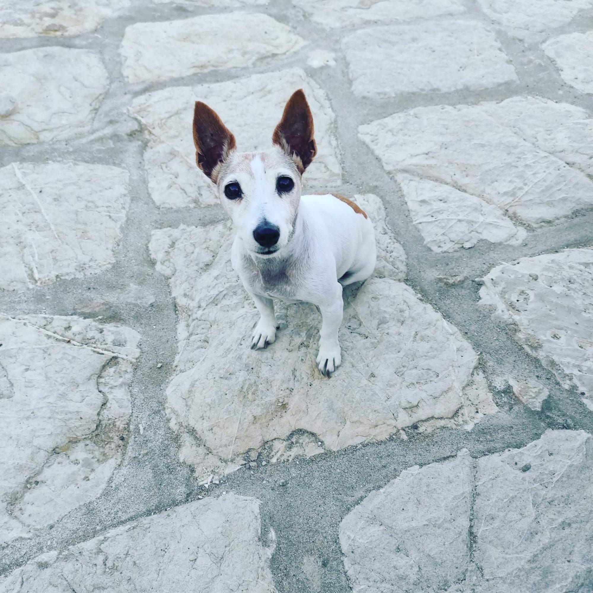 Petridi House Symi